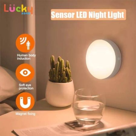 Motion Sensor Light